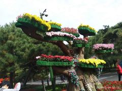 -北陵公园