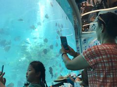 -瑞德姆美人鱼海底演艺主题餐厅(亚龙湾店)