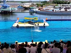 -秦皇岛乐岛海洋王国