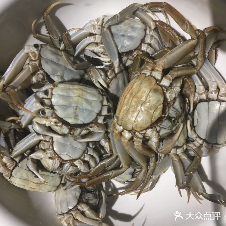 鬼怪[鬼脸]美味菜谱系列之：清蒸螃蟹