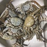鬼怪[鬼脸]美味菜谱系列之：清蒸螃蟹