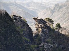 -朱雀国家森林公园