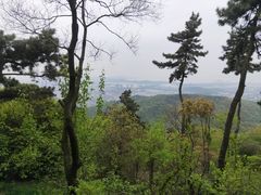 -惠山国家森林公园