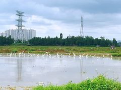 -崖口云吞(中堡店)