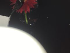 -青岛富力艾美酒店