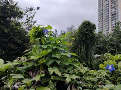 -苏州河梦清园环保主题公园