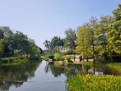 -云溪植物园