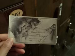 -哈利波特魔法世界