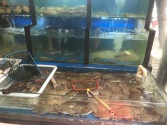 水产区-老东镇啤酒屋海鲜加工·蒸汽海鲜·海鲜烧烤(台东店)