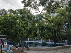 -九龙公园