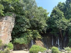 -峨眉山报国寺