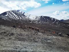 -折多山