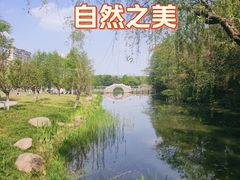 -洋湖国家湿地公园