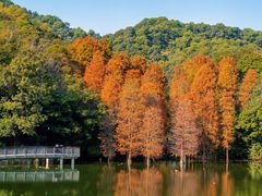 -广州市白云山风景名胜区