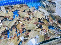 -三旗百汇商品城