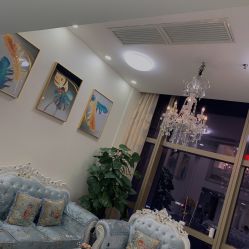 -久匠·纹眉半永久野生眉