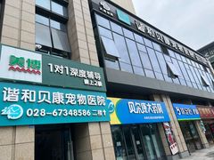 -谐和贝康宠物医院24小时·宠保定点(急重症转诊中心)