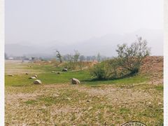 -十三陵水库