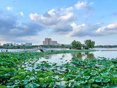 -济南大明湖景区