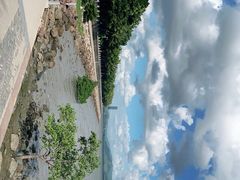 -深圳湾公园(南山区)