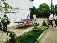 免费提供乒乓球，畅玩无限-武汉世外桃源农庄