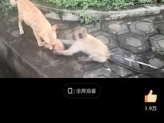 -昆明动物园