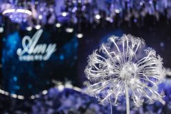 -艾米婚纱&婚礼策划