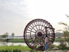 -东湖落雁景区
