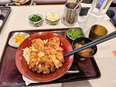 -dodonpa.墩墩伐 便当食堂(博华广场店)