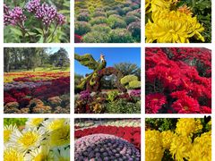 -国家植物园