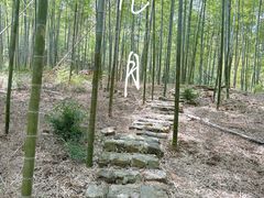 -宜兴龙背山森林公园