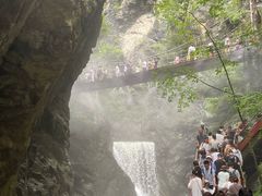 -牛背梁国家森林公园