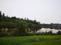 -白鹭湾湿地公园