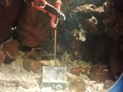 -欢乐海岸海洋奇梦馆