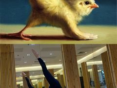 -天行健身＆天行拳馆跆拳道·格斗TXGYM