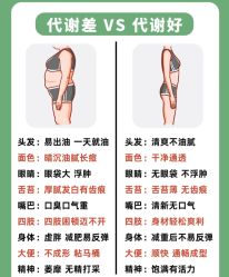 -Fundi张玉珊修身堂·indiba·BTL科技瘦身