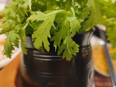 茼蒿-刘一锅筋头巴脑(大悦城C店)