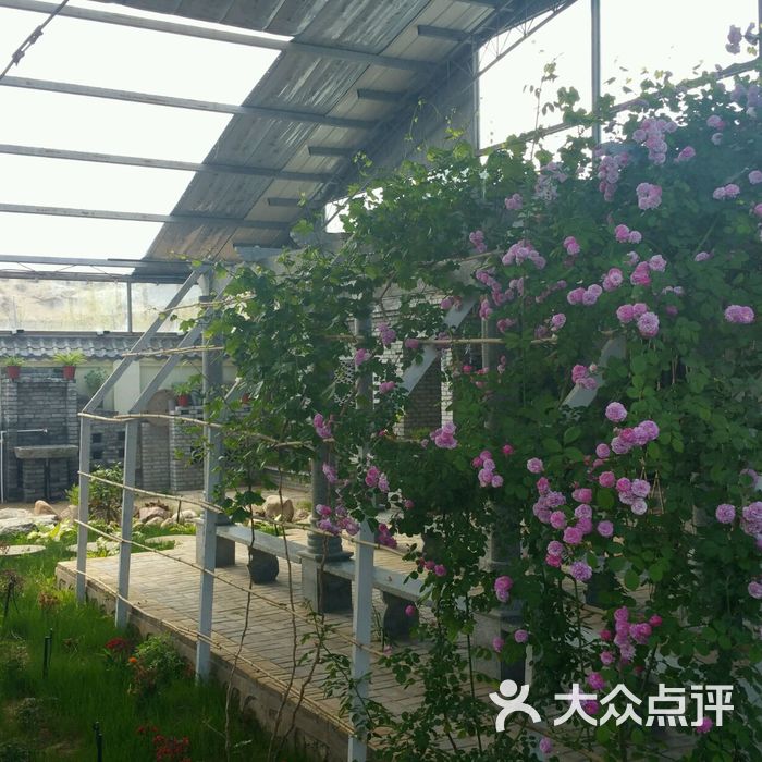 红柳山庄图片-北京采摘/农家乐-大众点评网