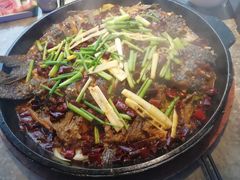 老板恋上鱼-老板恋上鱼(恒隆广场店)