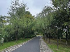 -敬亭山风景名胜区