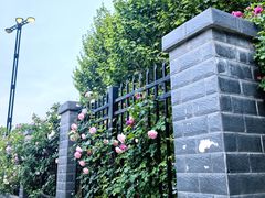 -首都医科大学附属北京天坛医院