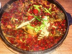 -老板恋上鱼(恒隆广场店)