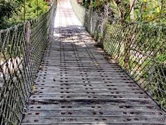-海南热带雨林国家公园吊罗山景区