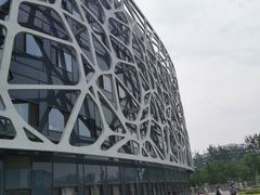 -首都医科大学附属北京天坛医院