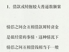 -上海领胜律师团队·法律咨询