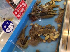 -高新·活力城Village