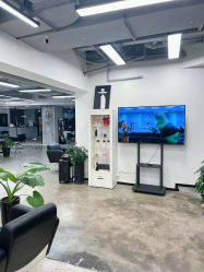 -蚂蚁造型俱乐部