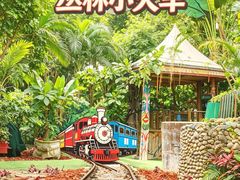 -呀路古热带植物园