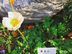 -东莞植物园