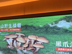 -北大荒人•新东北菜(青岛银座店)